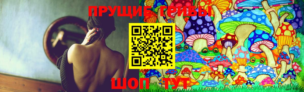 Псилоцибиновые грибы ЛСД  Псилоцибиновые грибы прущие грибы  Вход с VPN  Ленинск-Кузнецкий 